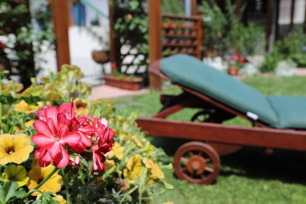 Corona Villa ヘーヴィーズ エクステリア 写真